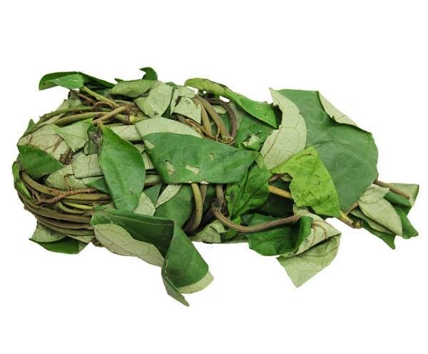 Amazing Health Benefits of Uziza Leaf