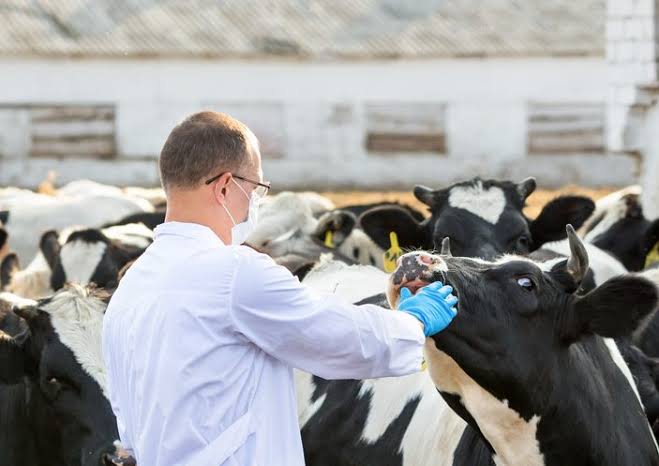 Principles of Livestock Production and Management Principles of Livestock Production and Management