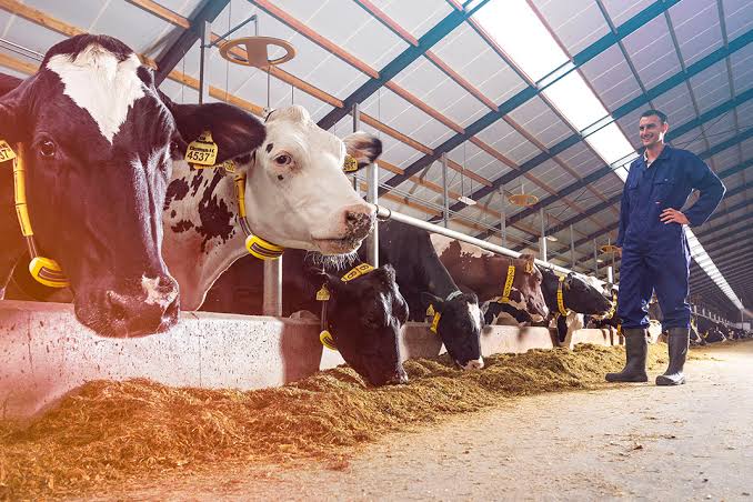 Principles of Livestock Production and Management Principles of Livestock Production and Management