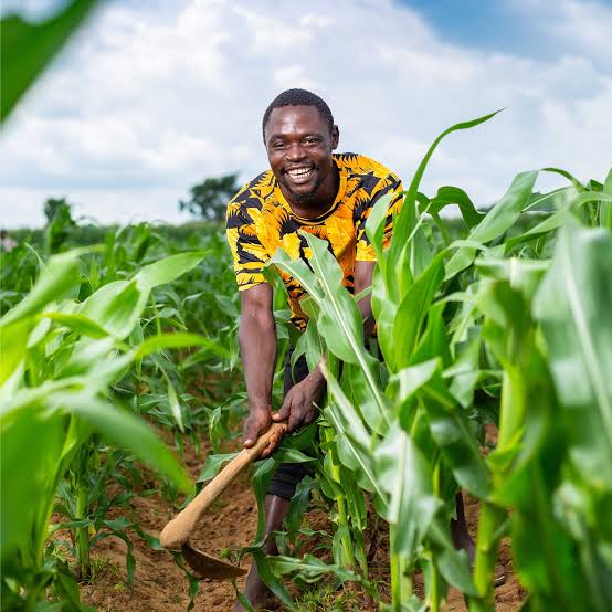 Historical Development of Crop Production