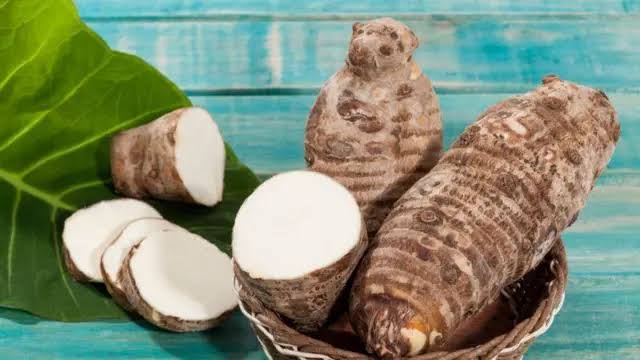 Uses and Benefits of Cocoyam