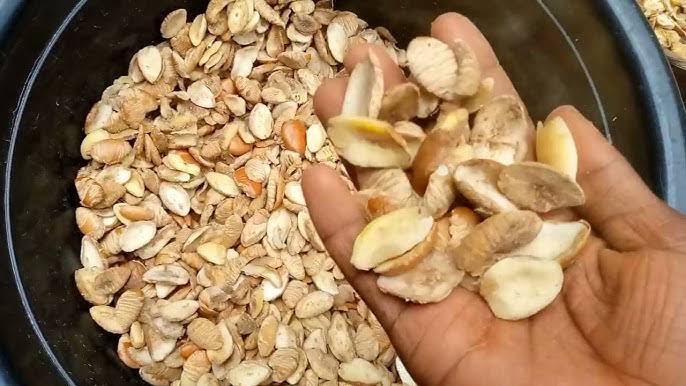 The Origin and Significance of Ogbono Seed