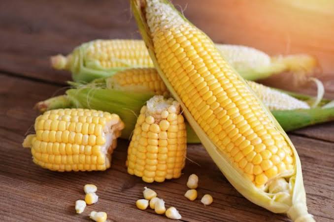 Economic Importance of Maize Production 