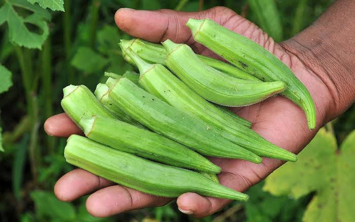 Health Benefits of Lady Finger