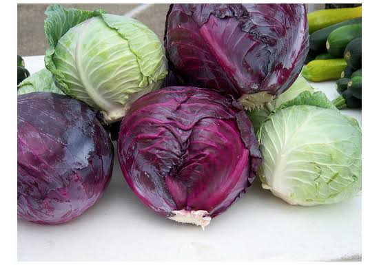 History and Significance of Cabbage