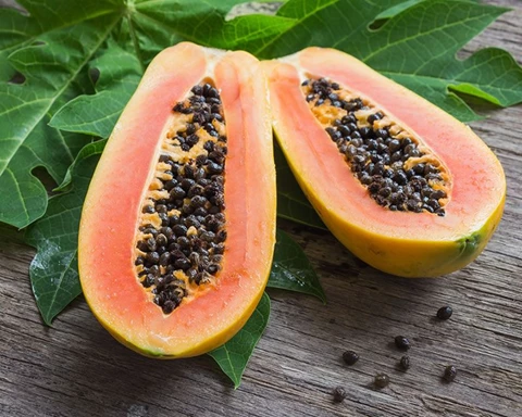 Health Benefits of Pawpaw Fruit