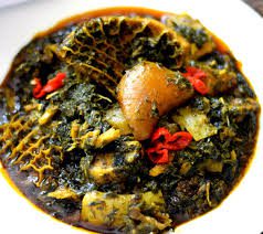 Afang Leaf and Its Health Benefits Afang Leaf and Its Health Benefits