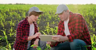 Developing And Improving Farm Records