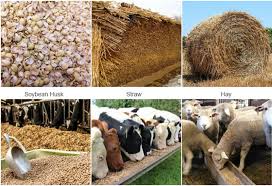 Feed and Materials for Ruminant Animals