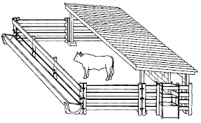 Adequate Ruminant Housing