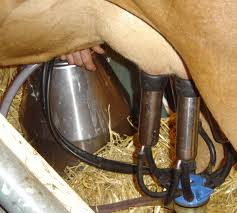 Methods of Milking