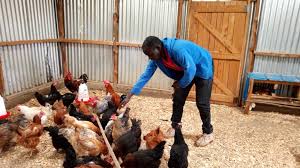 Definition and Classes of Feeding in Monogastric Animals Definition and Classes of Feeding in Monogastric Animals
