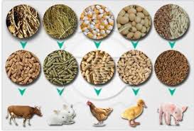 Classification of Livestock Feedstuffs Classification of Livestock Feedstuffs
