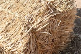 Classification of Livestock Feedstuffs Classification of Livestock Feedstuffs