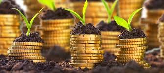 What is Agricultural Finance?