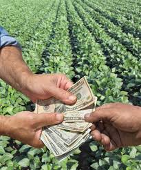 Three R’s and Five C’s of Credit in Farm Business