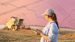 Three R’s and Five C’s of Credit in Farm Business