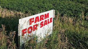 External Methods of Acquiring Capital for Farm Business