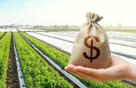 External Methods of Acquiring Capital for Farm Business