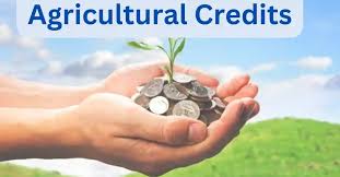 The Role of Agricultural Credit Banks