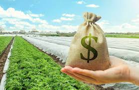 Borrowing as a Capital Acquisition Method in Agriculture