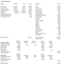 Understanding the Income Statement in Agricultural Finance