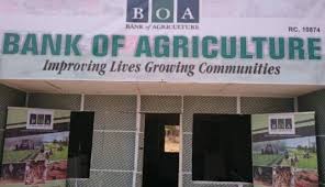 Problems Encountered by Government Financial Institutions in Agricultural Lending