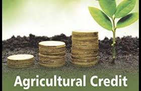 Problems Encountered by Government Financial Institutions in Agricultural Lending