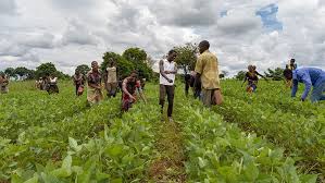 Agricultural Loan Delinquency and Diversion in Nigeria