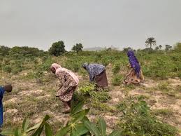 Agricultural Loan Delinquency and Diversion in Nigeria