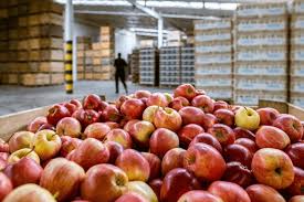 Warehousing and Agricultural Marketing Policies