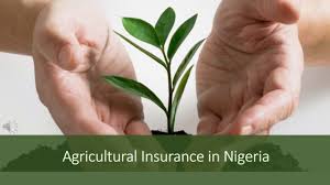 History of Agricultural Insurance in Nigeria