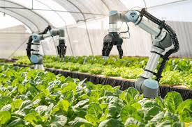 Adoption of Technology as Risk Mitigation Methods in Agriculture