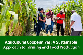 Types and Characteristics of Cooperative Organizations in Agriculture