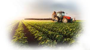 An Overview of Agricultural Insurance Scheme in Nigeria