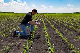 Definition and Scope of Farm Business Management Definition and Scope of Farm Business Management