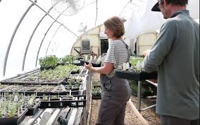 Definition and Scope of Farm Business Management Definition and Scope of Farm Business Management