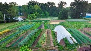 Organization of Farm Set-Up