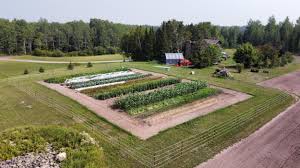 Organization of Farm Set-Up