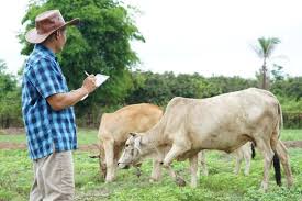 Attributes and Functions of A Farm Manager