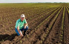 Agricultural Feasibility Study for Projects Agricultural Feasibility Study for Projects