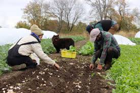 Meaning of Agricultural Project