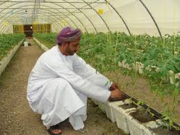 Agricultural Project Management and General Management