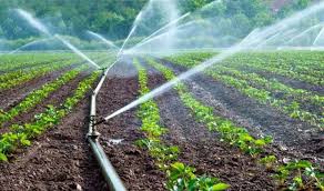 Economics of Irrigation and Water Use in Agriculture