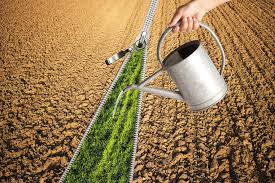 Economics of Irrigation and Water Use in Agriculture