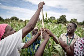 Agricultural Production Decision and Theory of Production Function