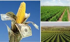Concepts in Agricultural Production Economics