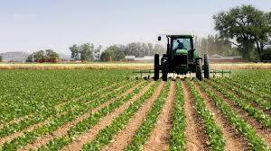 The Type and Importance of Agricultural Policy