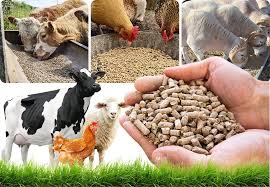 Identification of Feed Stuffs Used in Feeding Poultry and Pigs and Feed ...