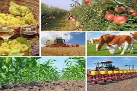 Benefits and Challenges of Diversification in Agribusiness